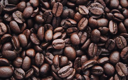 Кафе на зърна Lavazza. Какви са основните му качества?