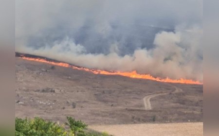 Голям пожар в село Карапелит