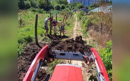 Чудната градина обявява 7 октомври за Ден на доброволеца