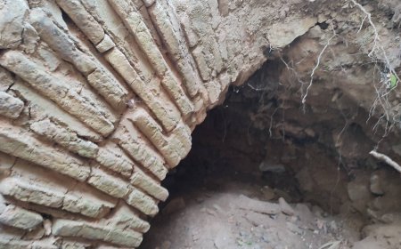 Разкопки на новооткрити останки около крепостта Палмате започват тази седмица