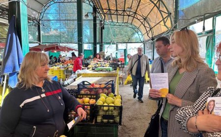 Йорданка Костадинова, ПП-ДБ: Предвиждаме цялостна реконструкция на Централния кооперативен пазар в Добрич