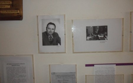 100 години от рождението на Веселин Димитров Ненов