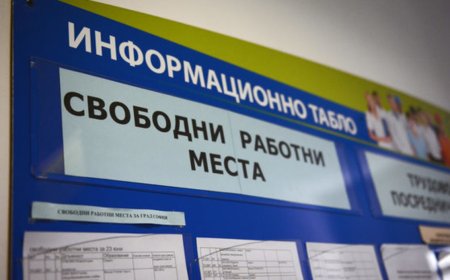 Свободни работни места в Добрич на 25 октомври
