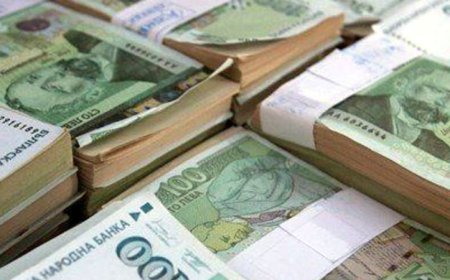 По сметките на стопаните постъпват 122 млн. лева за Кампания 2023