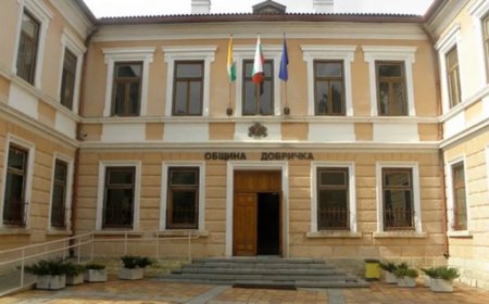 Общински съвет на Община Добричка със силно присъствие на "БСП за България (ЗНС)" /списък/