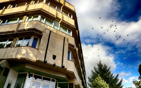 На 8 ноември Генерал Тошево празнува