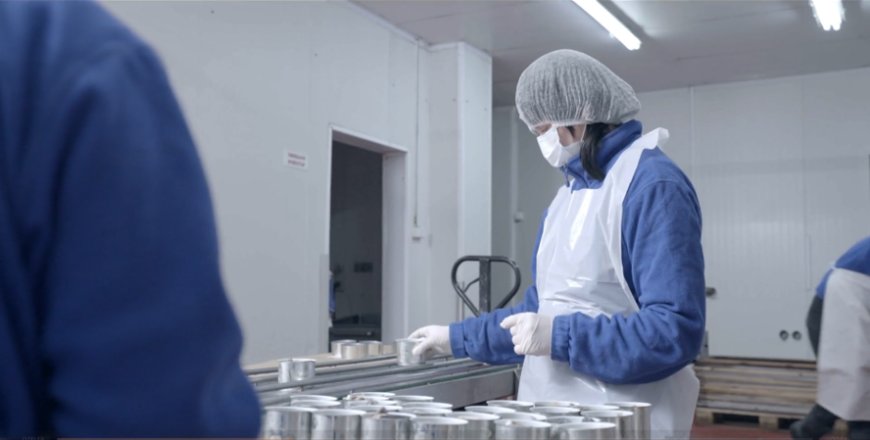 Фирма Ловмийт енд фиш ЕООД ще донесе усмивки и образователни играчки в детските градини "Пролет" и "Първи юни" и яслата "Радост", подкрепяйки развитието на децата.
