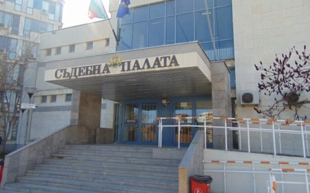 Условни присъди и глоба  за нелегалните  мигранти, които бяха задържани в с.Карапелит