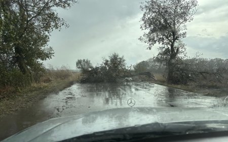 Вятърът отнесе част от покриви в Тервел и Ловчанци