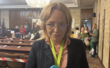 Цонка Велкова: Избирателната активност в Добрич е безкрайно ниска и разочароваща 