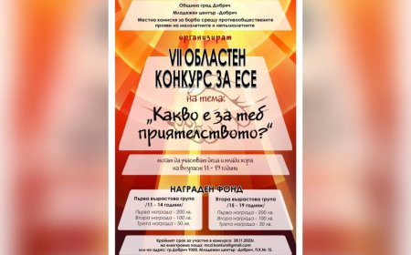 Конкурс за есе на тема: „Какво е за теб приятелството?“
