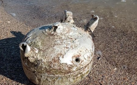 Морето изхвърли корозирала морска мина край Балчик