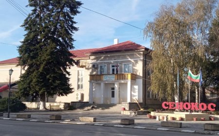 С нов покрив е читалището в с. Сенокос