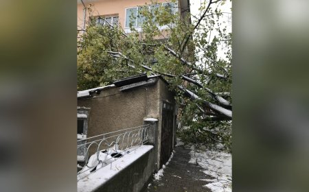 Общинското предприятие продължава да отстранява последиците от бурята в града