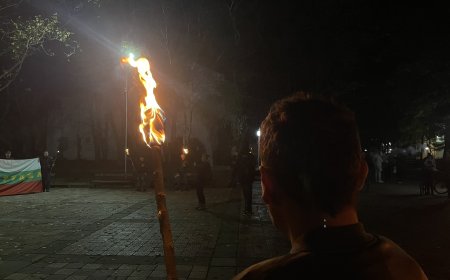 ВМРО отбеляза годишнината от подписването на Ньойския договор с факелно шествие /видео/
