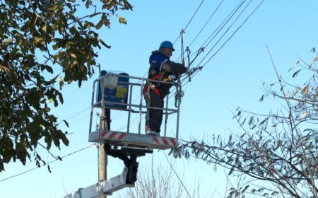 Какво се случи в Добричка област през изминалата седмица?