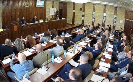 Ясни са председателите на постоянните комисии в ОбС