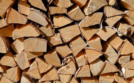 Близо 325 000 души получиха помощи за отопление през настоящия отоплителен сезон