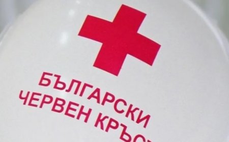 Днес е Международен ден на доброволеца