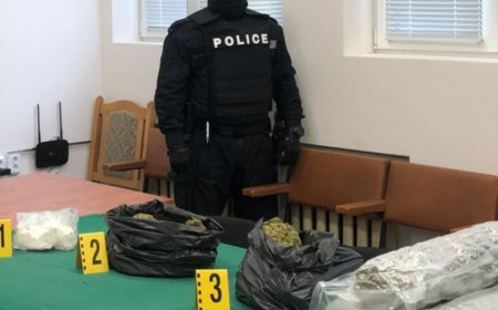Добричлията, държал 11 кг. наркотици, остава в ареста