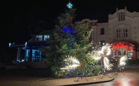 В Балчик запалиха светлините на коледната елха