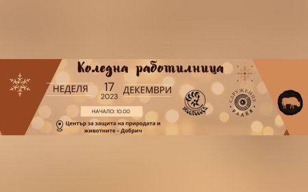 Коледна арт работилница в Зоо-центъра на 17 декември