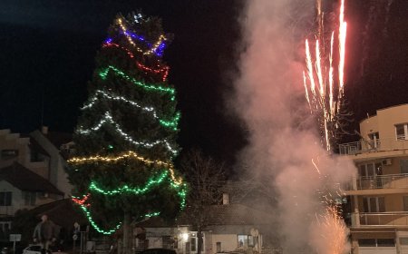 Коледната елха грейна и в черноморското село Кранево