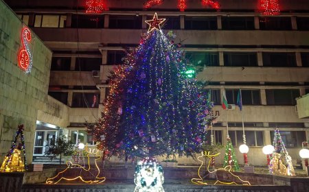 Коледните лампички в Тервел озариха града /снимки/