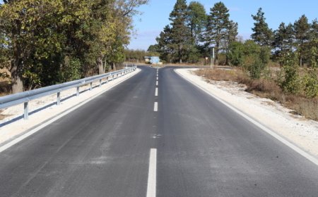 Общината в Генерал Тошево с допълнителни средства за ремонт на пътя от Пленимир-  Петлешково