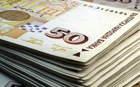 Изплатени са над 19 млн. лева на производителите на слънчоглед по втората извънредна финансова помощ