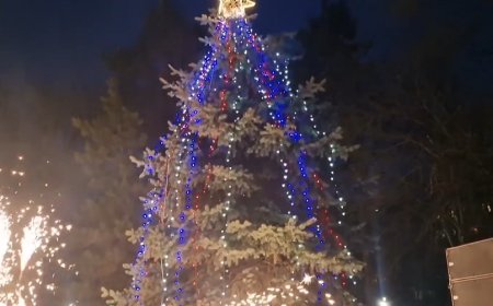 Коледните светлини на елхата в градския парк светнаха /снимки/