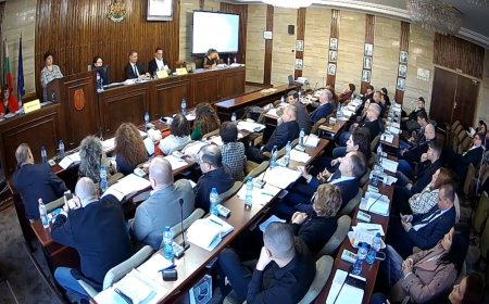Общинските съветници на Добрич не одобриха план сметката за  „Чистота“ за 2024 г.