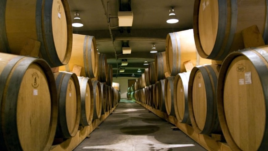 До 15 декември ДФЗ приема заявления по „Информиране в държави членки“ и „Популяризиране в трети държави“ в лозаро-винарския сектор