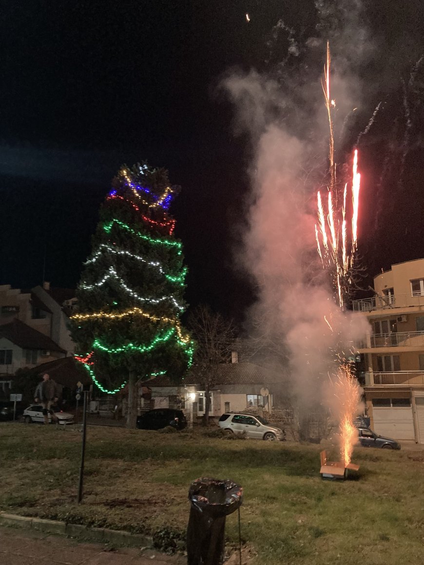 Коледната елха грейна и в черноморското село Кранево