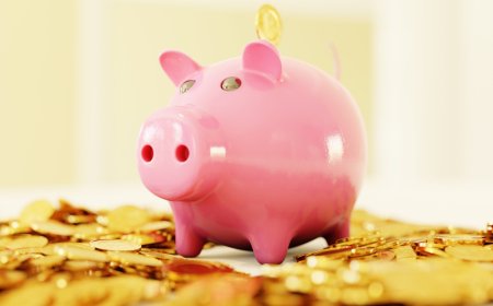 Добрич на 18-то място в страната по средна годишна работна заплата за 2022 г.