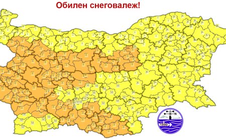 Жълт код и снежна покривка между 5 и 10 см. утре в Добричка област
