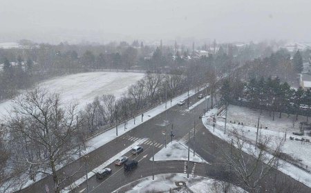 Всички основни пътни артерии в Добричко са обработени със сол