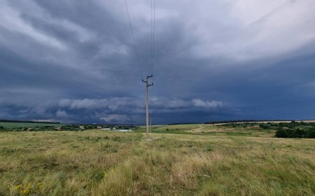 104 участъка от електроразпределителната мрежа в Североизточна България са опасни за птиците