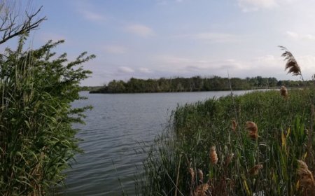 Два пожара на Шабленското езеро. Изгорели са около 60 декара
