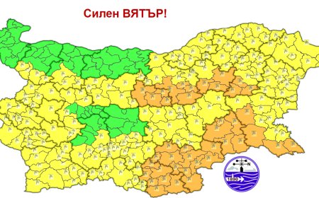 Предупреждение от първа степен за опасно време в Добричка област