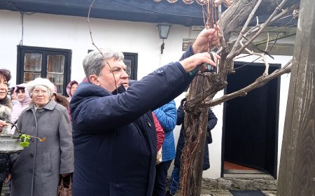 В Каварна зарязаха лозите за плодородие и добри дни за винарите