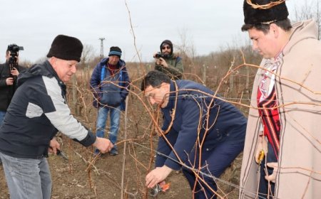 На Трифон зарезан зарязаха лозите в Генерал Тошево