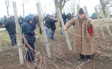 Петър Петров е новият „Цар на виното” в Шабла