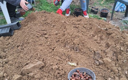 „Чудната гора”- новият проект на Фондация „Св. Николай Чудотворец”