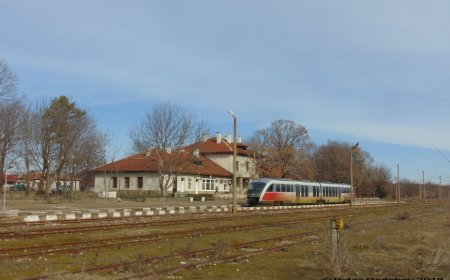Отново инцидент  с влака Добрич-Кардам