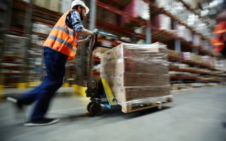 Свободни работни места в Добрич на 24 Септември
