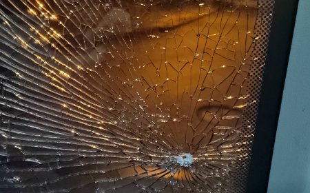 Отново нападение над автобус на Градския транспорт в Добрич