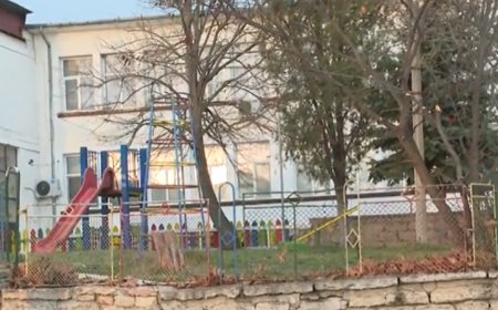Неизвестен трови кучета в балчишкото село Кранево