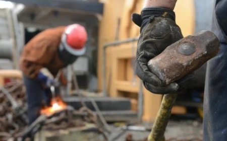 Свободни работни места в Добрич на 9 Септември