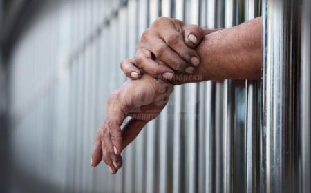 Няколко добричлии са задържани в ареста за притежание на амфетамини и канабис